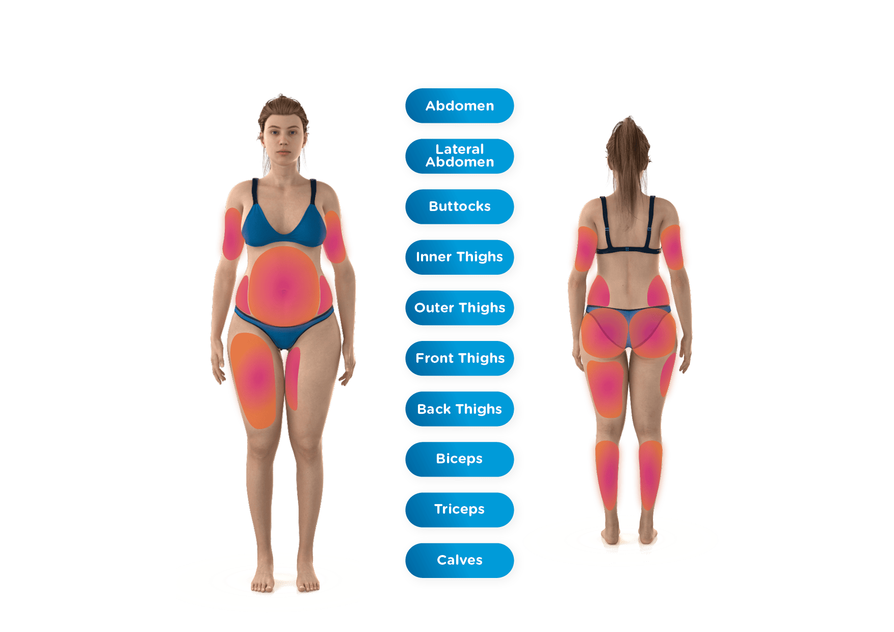 Body heat map with labeled areas